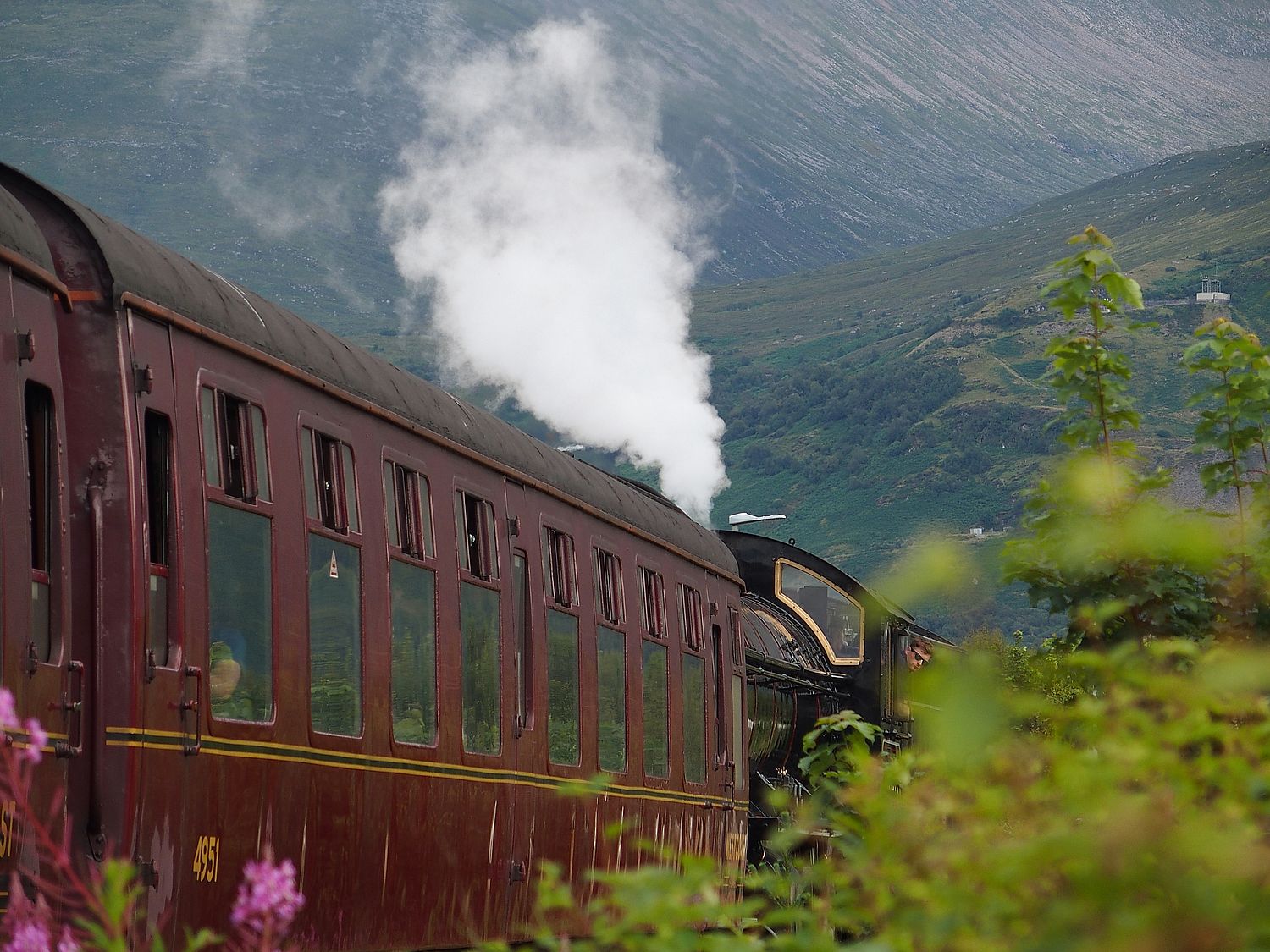 jakobita gzmozdony Harry Potter